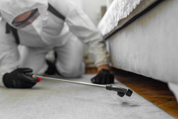 Professional Pest Control technician working in LaPorte County County, IN